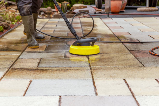Best Animal Enclosure Cleaning  in , ND